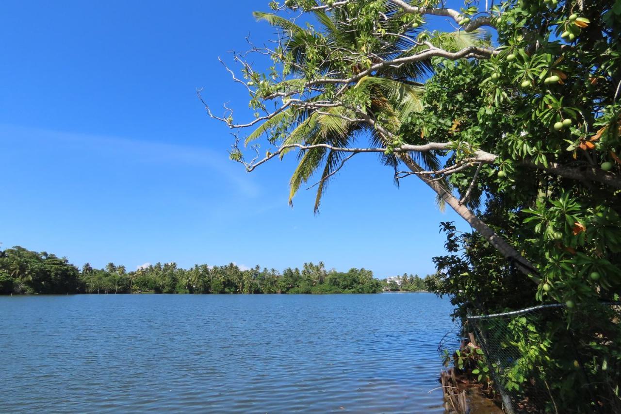 Lake Life Villa Ambalangoda  Εξωτερικό φωτογραφία